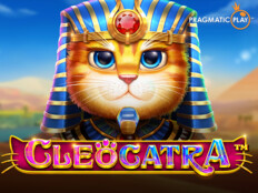 Cool cat casino download45